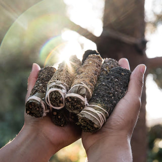 Sahumitos Smudge Sticks White Sage doosje met 5 stuks